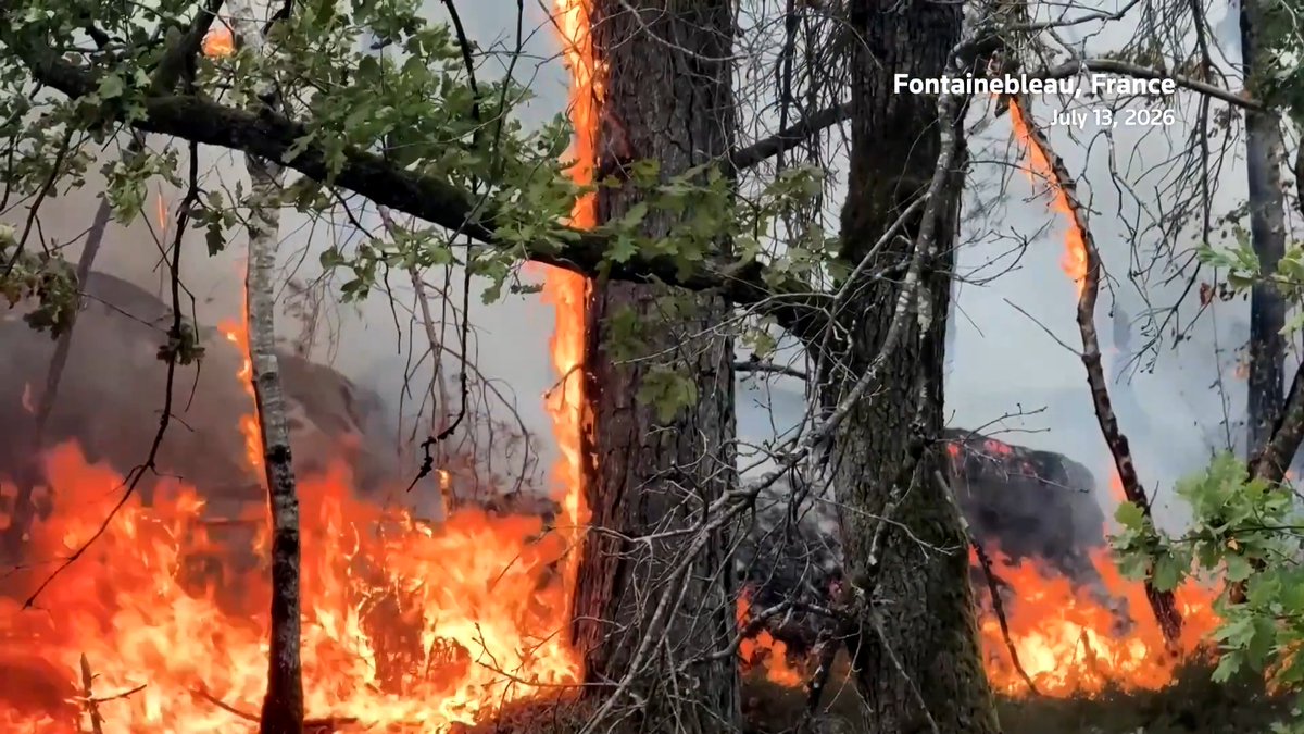 Firefighters work to contain a wildfire in Fontainebleau, a historic forest near Paris, with fire engines and water-bombing aircraft, as much of western Europe simmered in a string of heatwaves