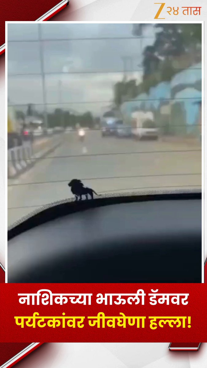 Nashik | नाशिकच्या भाऊली डॅमवर पर्यटकांवर जीवघेणा हल्ला! | Zee24Taas #nashiknews #tourist #Crime #Zee24Taas