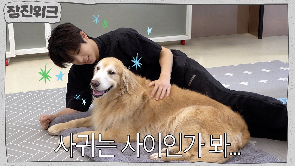 [📺] 이것은 워크인가 힐링인가! 맞혀보라개🐶🐾 [장진워크] | NOWZ (나우즈) 🔗 #NOWZ #나우즈 #진혁 #JINHYUK #장진워크