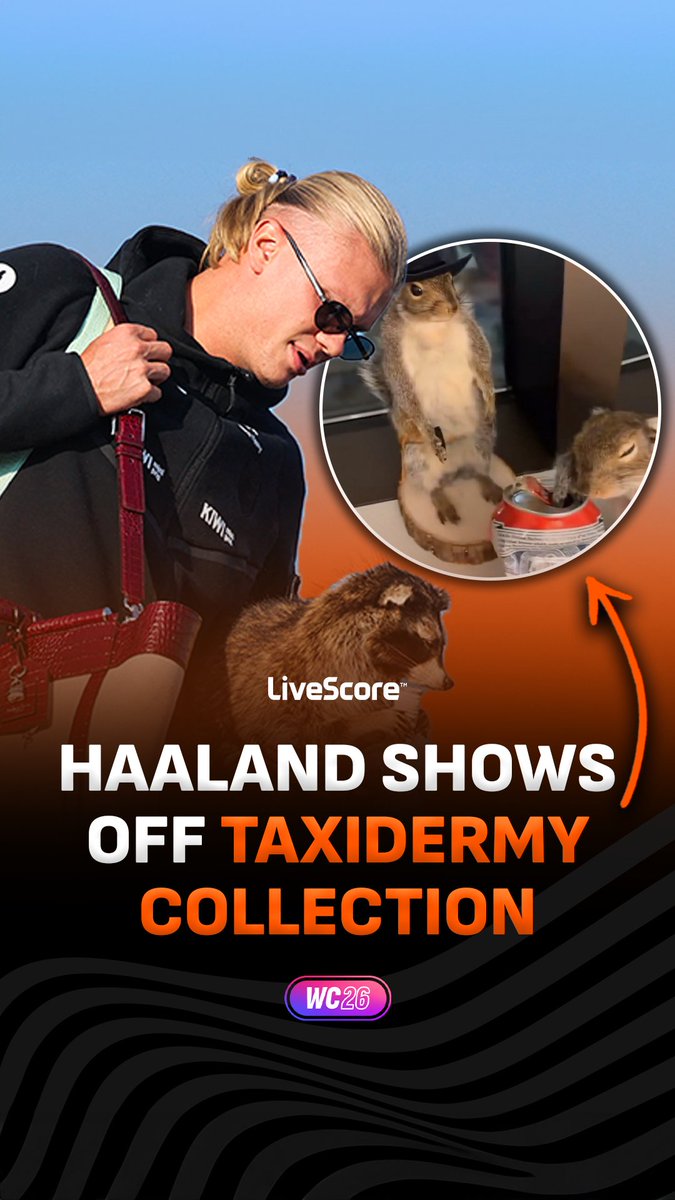 Erling Haaland brought back some very bizarre souvenirs from the World Cup 🦝🤣