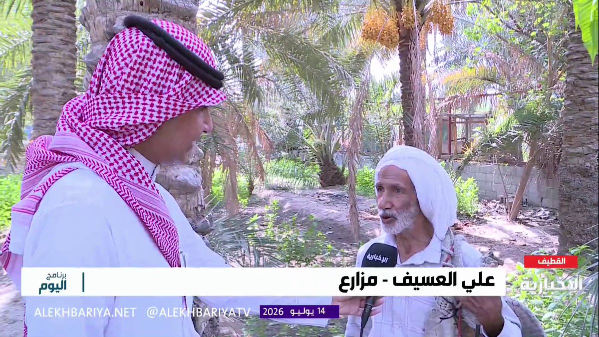 المزارع علي العسيف: رطوبة الأجواء تمنح رطب القطيف حلاوة مميزة ونطلق على النخلة اسم "عمتي" تقديرا لمكانتها