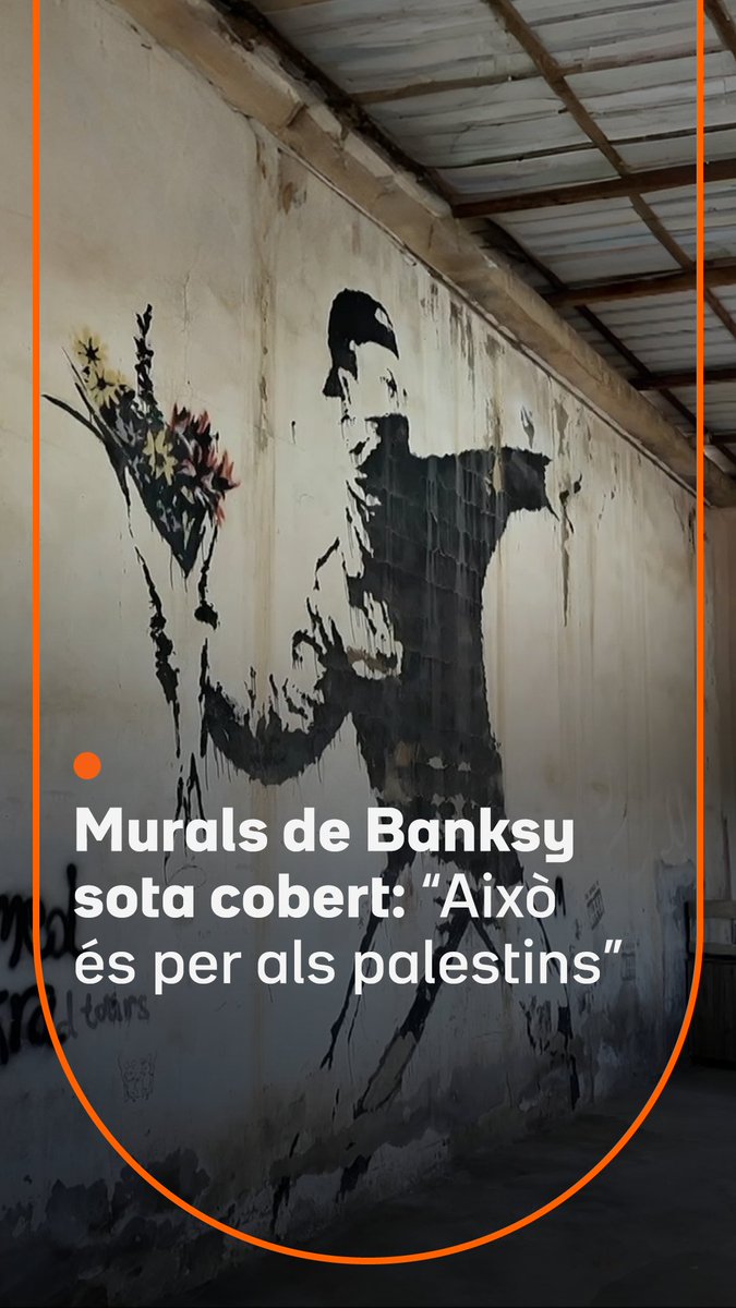 Banksy les va pintar en espais públics de Palestina, però ara estan a cobert. Obres com “El llançador de flors” o “La nena que escorcolla un soldat” ja no poden veure’s tan fàcilment. Volen evitar que es deteriorin i, si poden, esgarrapar-ne algun benefici