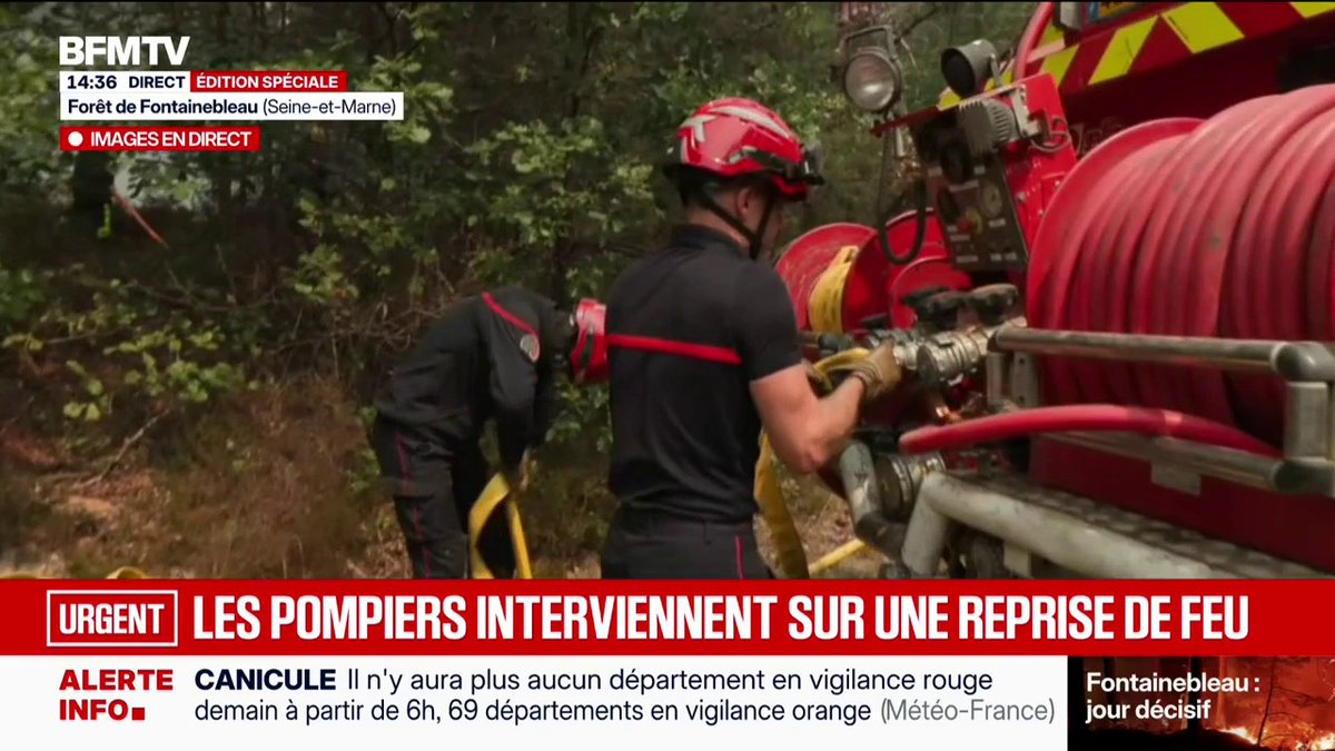 Incendies à Fontainebleau: une reprise de feu surprend les pompiers