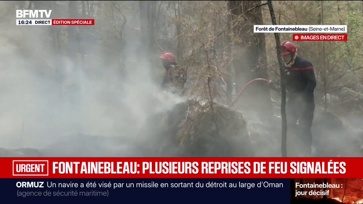 Incendies: deux suspects ont reconnu leur implication dans les départs de feu distincts à Fontainebleau