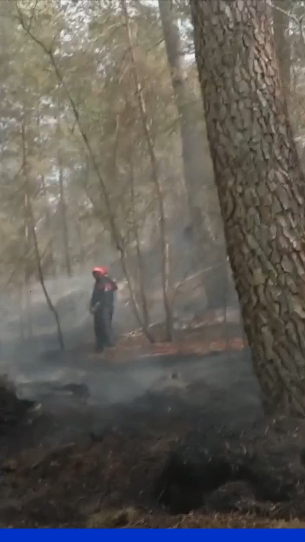Incendies: deux suspects ont reconnu leur implication dans les départs de feu à Fontainebleau