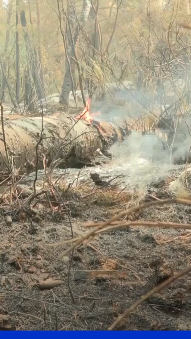 Départs de feux: que risquent les auteurs d'incendies devant la justice?