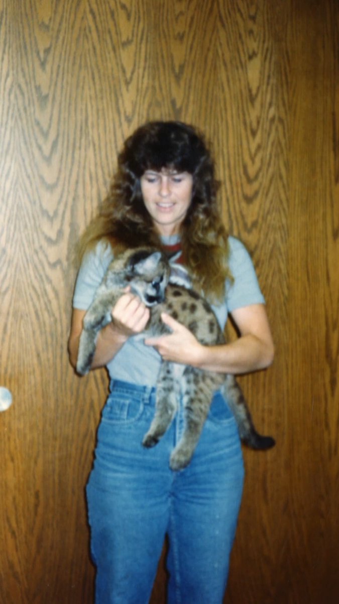 The origin of Terri Irwin's love for cougars! #crikeyitstheirwins #cougar