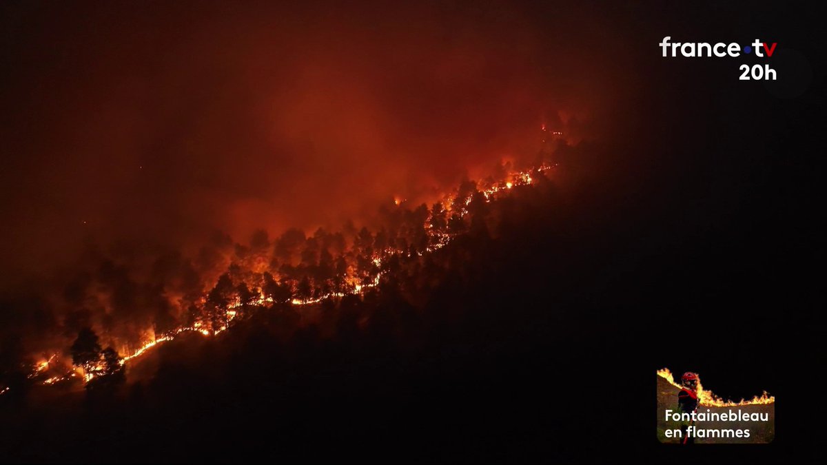 🔴 Depuis le début des incendies, 59 personnes ont été interpellées, selon le ministre de l'Intérieur, Laurent Nuñez. À Fontainebleau, quatre personnes sont toujours en garde à vue, dont un pompier volontaire, qui a reconnu son implication dans le départ du feu. #JT20H