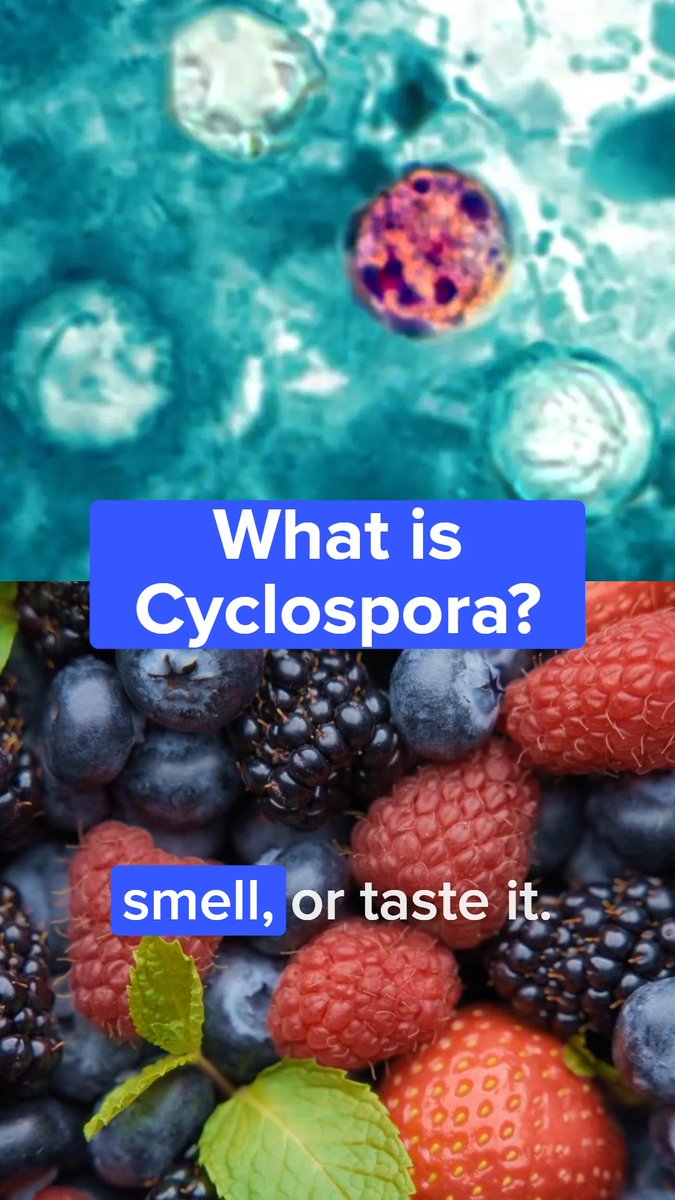 Cyclosporiasis cases have been reported in 31 states in the US, with over 4,000 confirmed cases. Here's what you need to know about the parasite.