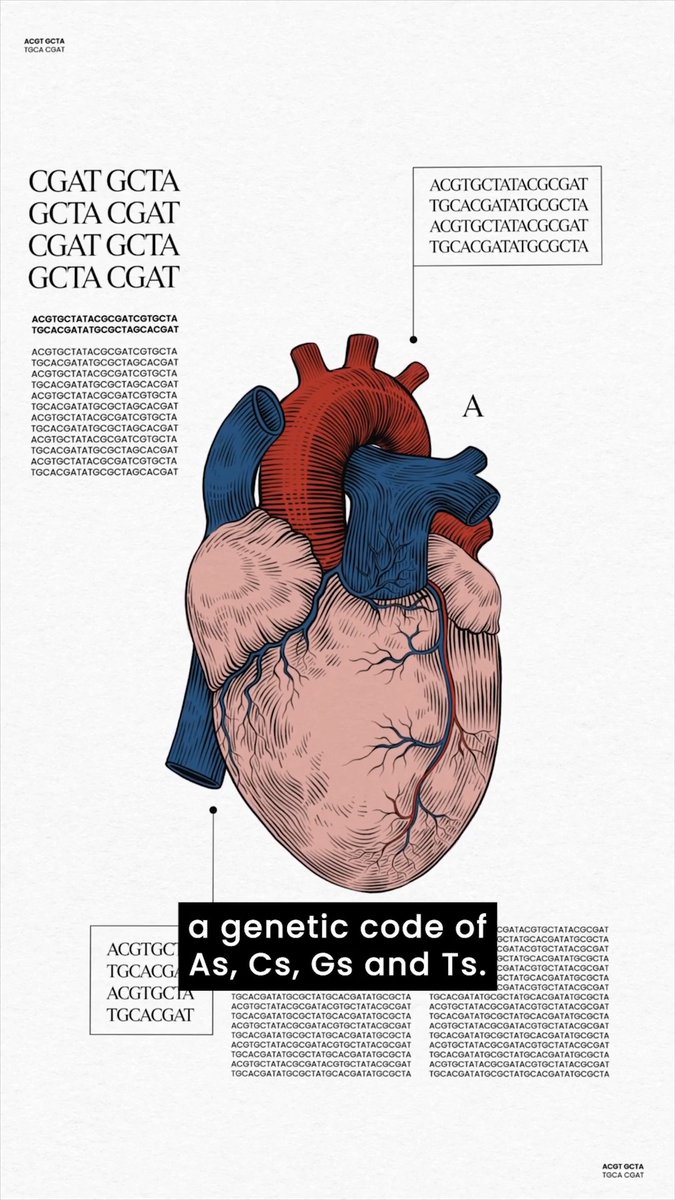Genomics can be explained through a simple metaphor: that each one of us is a unique book filled with pages that describe why we are the way we are. Genomics is the study of these pages. Itโs how we can use our diversity to improve our future. Find out more about WHO's work on genomics: