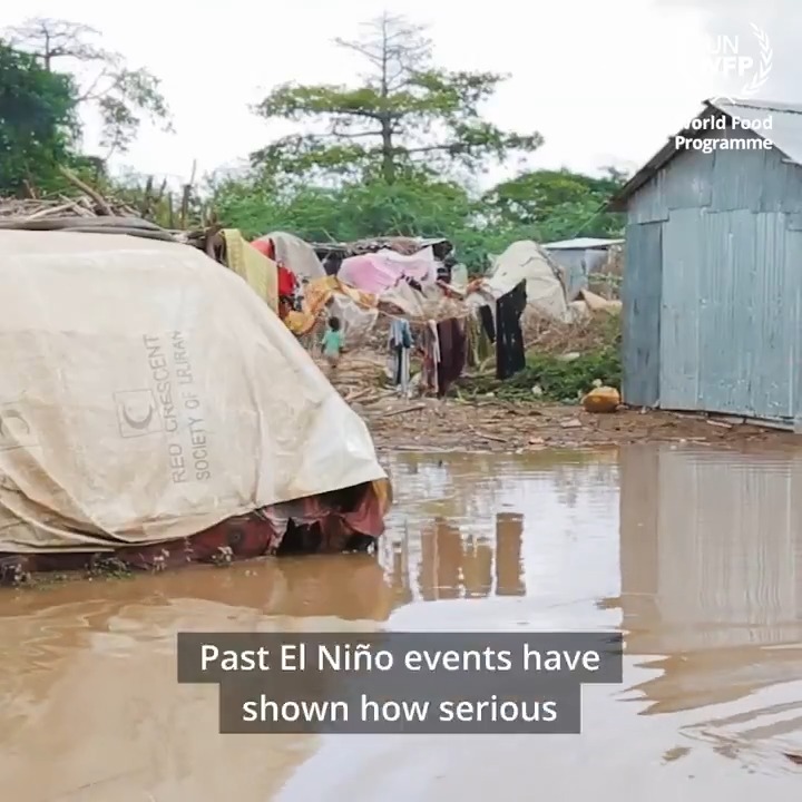 The impact of #ElNiño could put millions across the Asia-Pacific region at risk of growing food insecurity. Acting early makes all the difference. WFP's Regional Head of Programme, David, explains👇