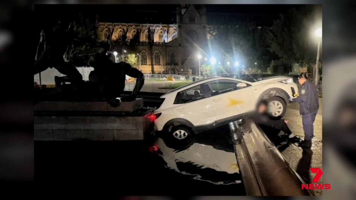 The French delivery driver who took a wrong turn and ended up in the drink of Sydney’s famous Hyde Park fountain has faced court The 21-year-old admitted to his mistakes, but the drama didn't end there.