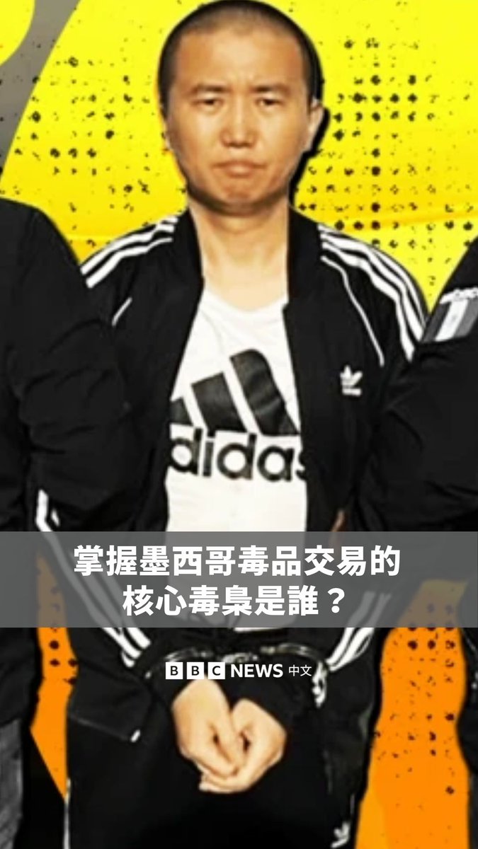 中国毒枭张智栋被控建立庞大犯罪帝国，成为中国化工厂与墨西哥贩毒集团之间的关键桥梁，而这些贩毒集团长期向美国输送大量芬太尼（Fentanyl）。 在墨西哥贩毒集团成员口中，他被称为“El Rey（国王）”、“Número Uno（头号人物）”，也以化名“王哥”闻名。如今，张智栋已被美国拘押，面临贩毒等多项刑事指控。 BBC追查他的崛起与殒落，试图揭开这名关键人物如何从幕后供应者，一步步成为全球毒品网络中举足轻重的一环。