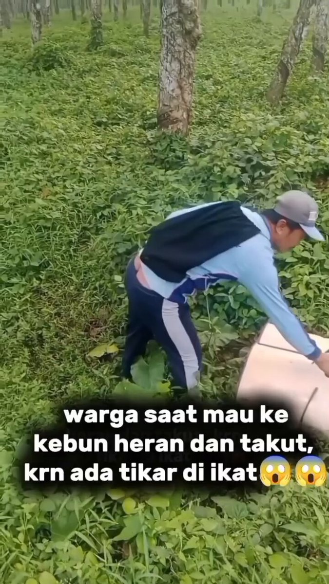 Seorang Warga yang hendak ke kebun mendadak berhenti setelah melihat sebuah tikar terikat tergeletak di semak-semak. Rasa penasaran bercampur takut langsung menyelimuti. Saat dibuka, tak seorang pun menyangka apa yang ada di dalamnya…😱😱😱