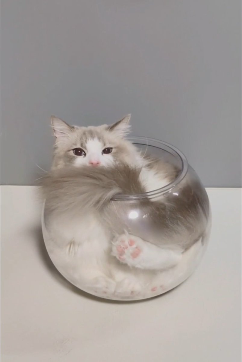 しっぽが溢れてますよ🤭