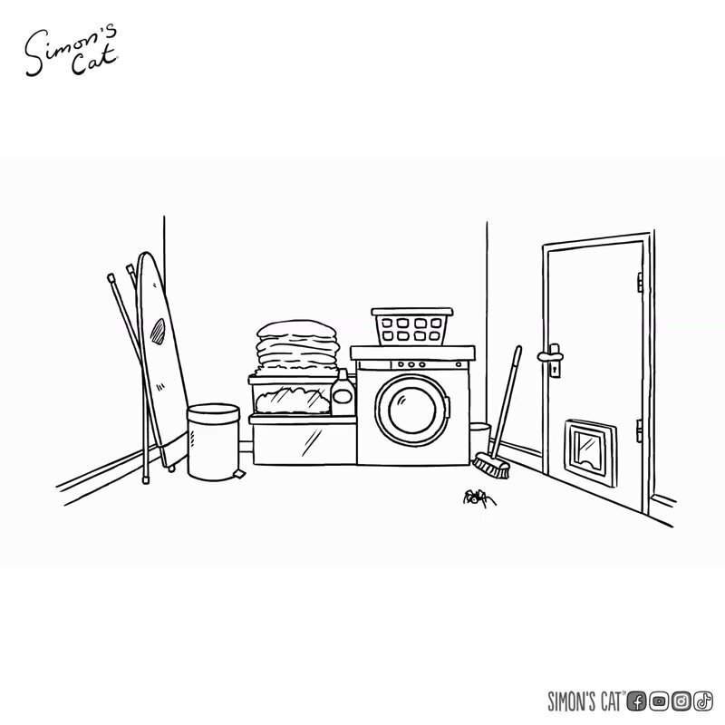 For the love of clean laundry...