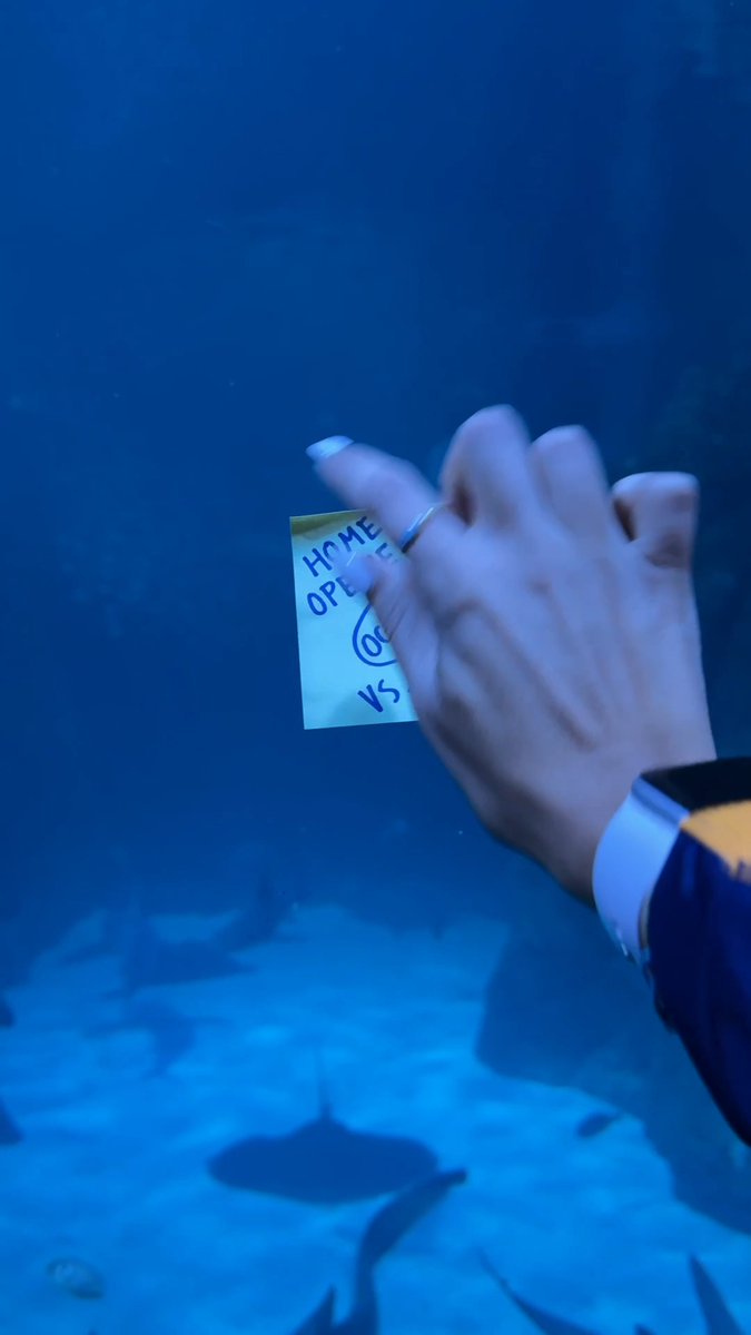 We went fishing at St. Louis Aquarium and all we caught was our 2026-27 home opener