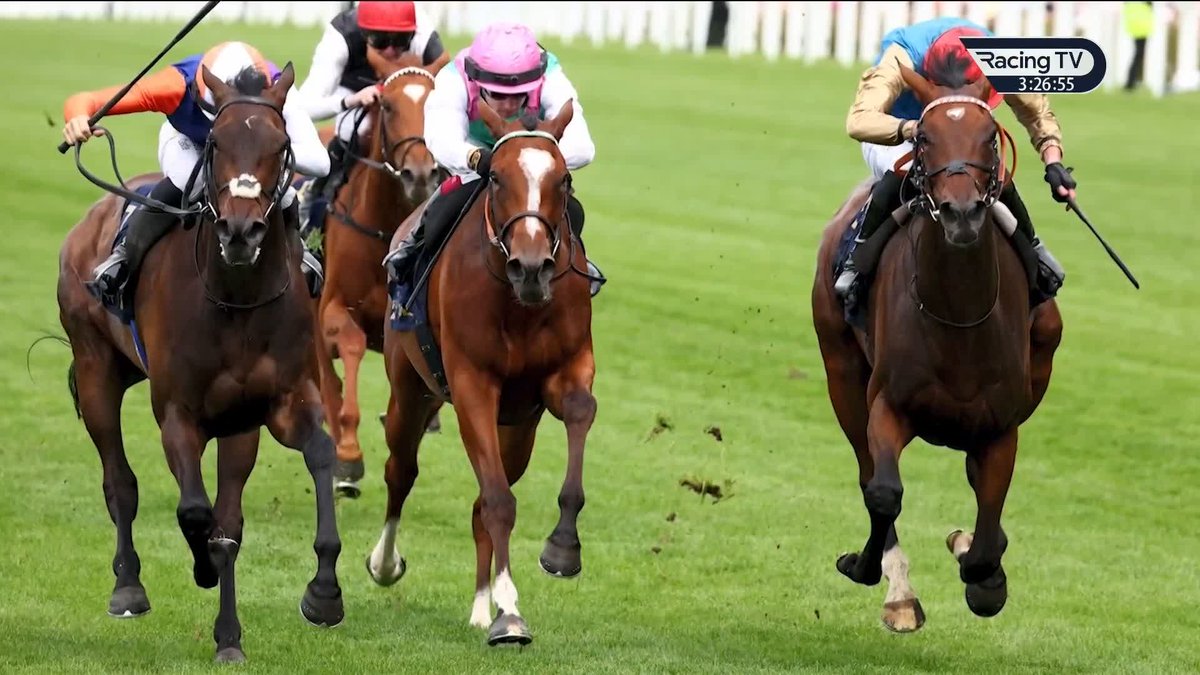 🗣️ "This is a really nice race for her." 🗣️ "The St Leger or the Arc... probably not both of them." William Haggas discusses Irish Oaks contender Earth Shot &amp; Grand Prix de Paris hero Maltese Cross