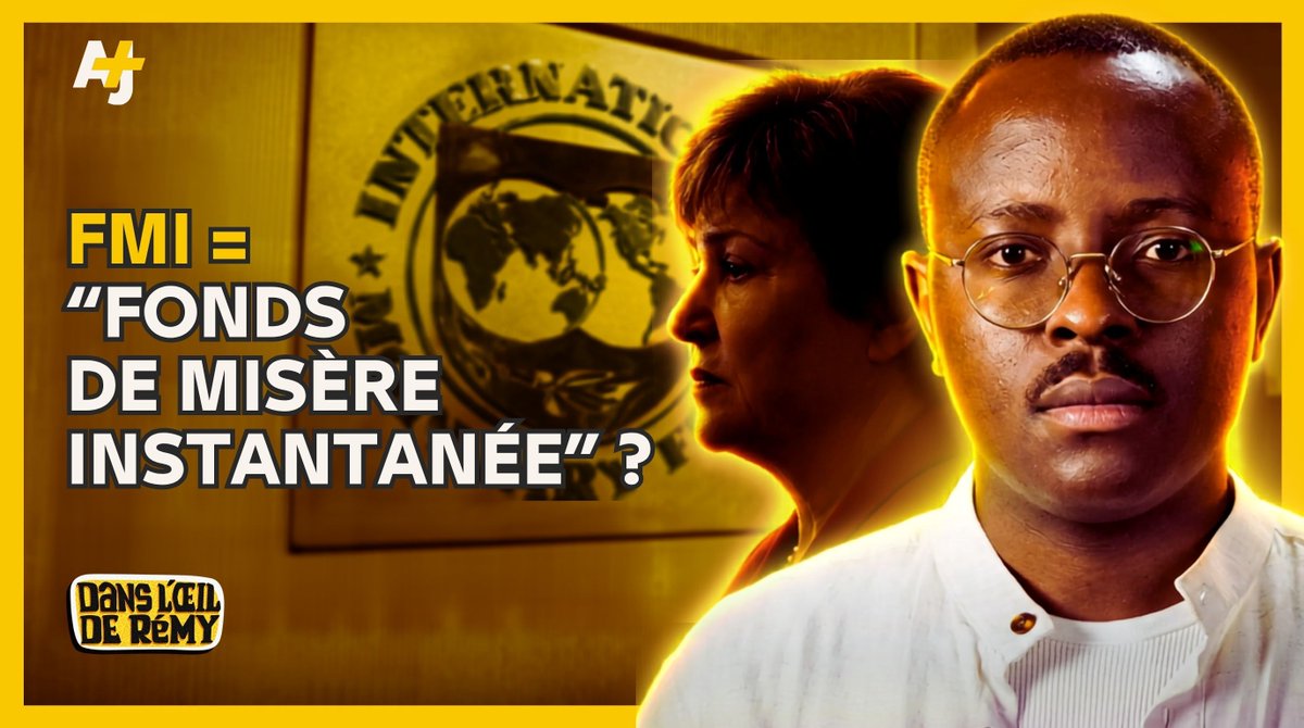 "Fonds de misère instantanée." Les pays africains devraient-ils se débarrasser du FMI ? Ces 2 économistes pensent que oui.