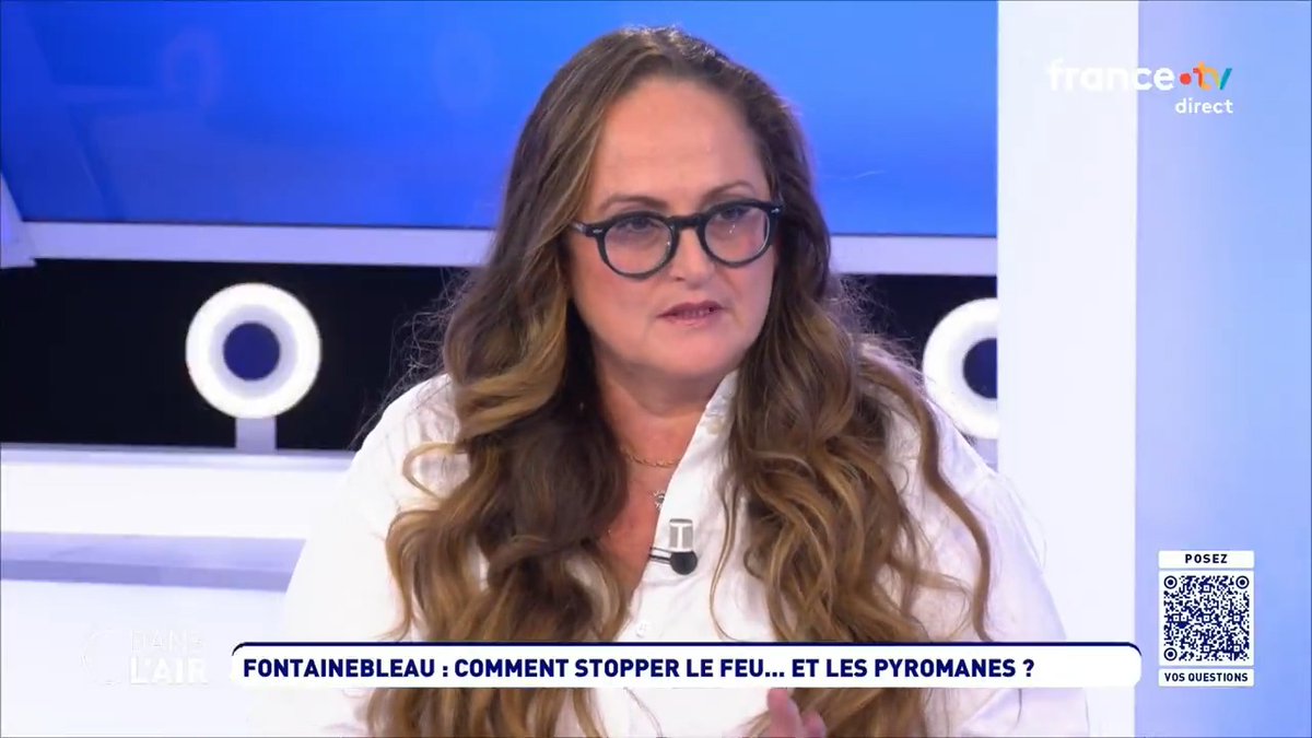 "Il y a une colère générale de la population […] On a un manque de moyens et d’organisation quand on voit la gestion de nos sols et forêts. On est dans des logiques de tensions économiques sans penser le futur". Emma Haziza, Audrey Goutard et Nicolas Berrod, dans #cdanslair