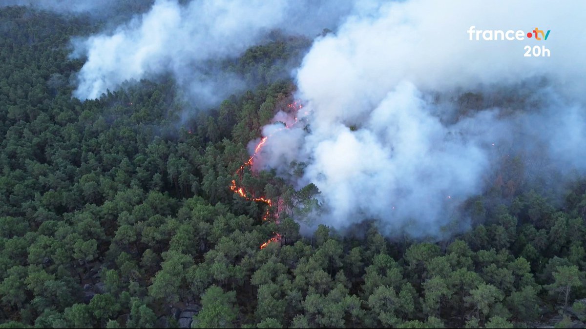 ⚡️ Plusieurs nouveaux départs de feu ont été signalés dans la forêt de Fontainebleau. Les opérations se sont poursuivies toute la journée pour essayer d’éteindre les flammes. Des centaines de personnes évacuées commencent à rentrer chez elles. #JT20h