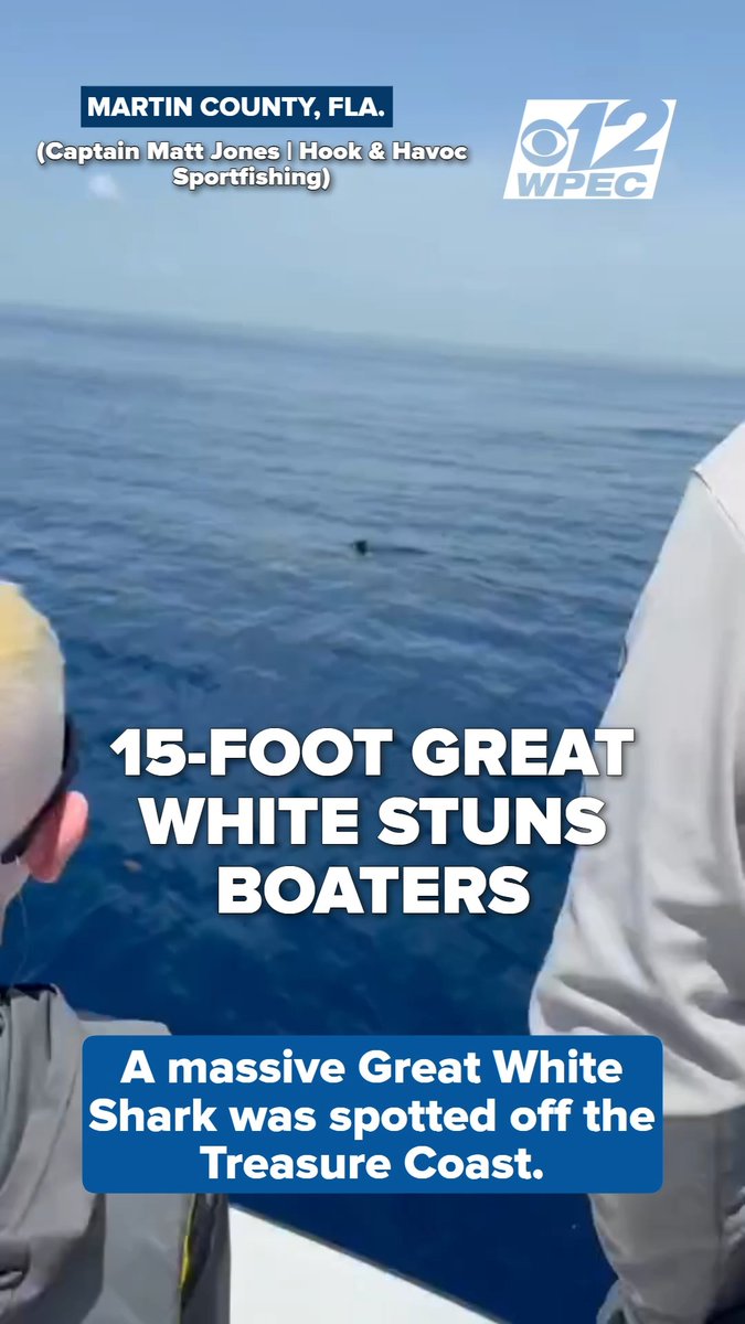 SHARK OFF STUART COAST 🦈 | A massive great white shark estimated at 15 feet long was spotted cruising off the Treasure Coast near Stuart, and the video is turning heads online. Would you get back in the water? Read more: ⬅️🔗