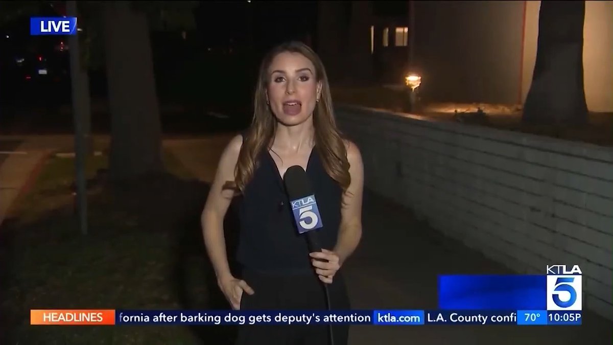😖 KTLA reporter unfazed by disgusting cockroach crawling on her during live segment. Credit: KTLA