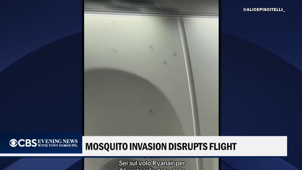 A Ryanair flight from Italy to Spain was delayed after a swarm of mosquitoes took over the cabin, forcing passengers onto another plane.