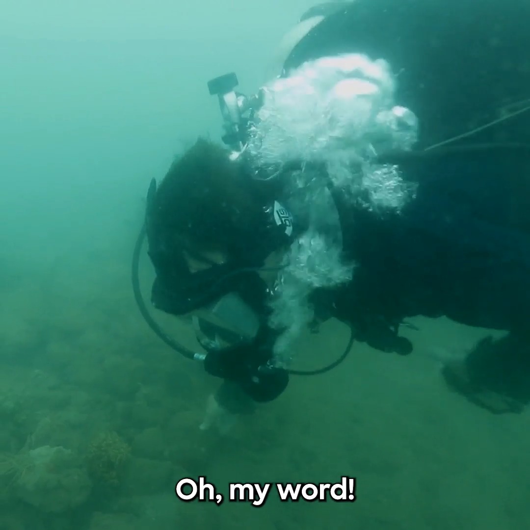Could a shipwreck resting atop a sunken pirate city unlock one of piracy's greatest mysteries? #ExpeditionUnknown starts NOW on Discovery.