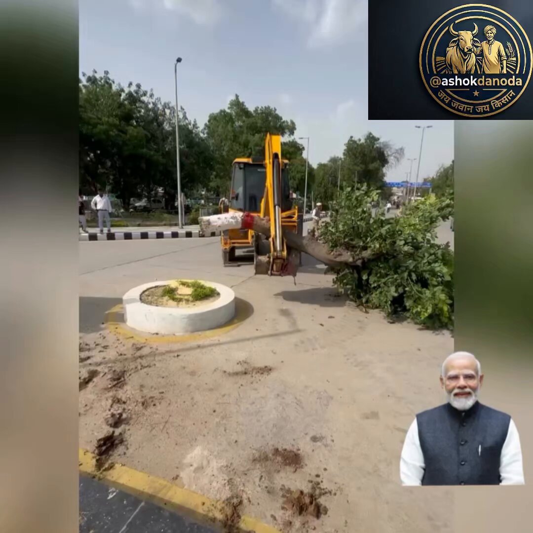 कल को मोदी जी जीन्द हाइड्रोजनट्रेन को हरी झंडी दिखाने आ रहे है... वहां एक पेड़ माँ के नाम ड्रामा करेंगे... दुसरे तरफ 10-15 साल पुरानी पेड़ उसी रेलवे स्टेशन पर काटें जा रहें है ।