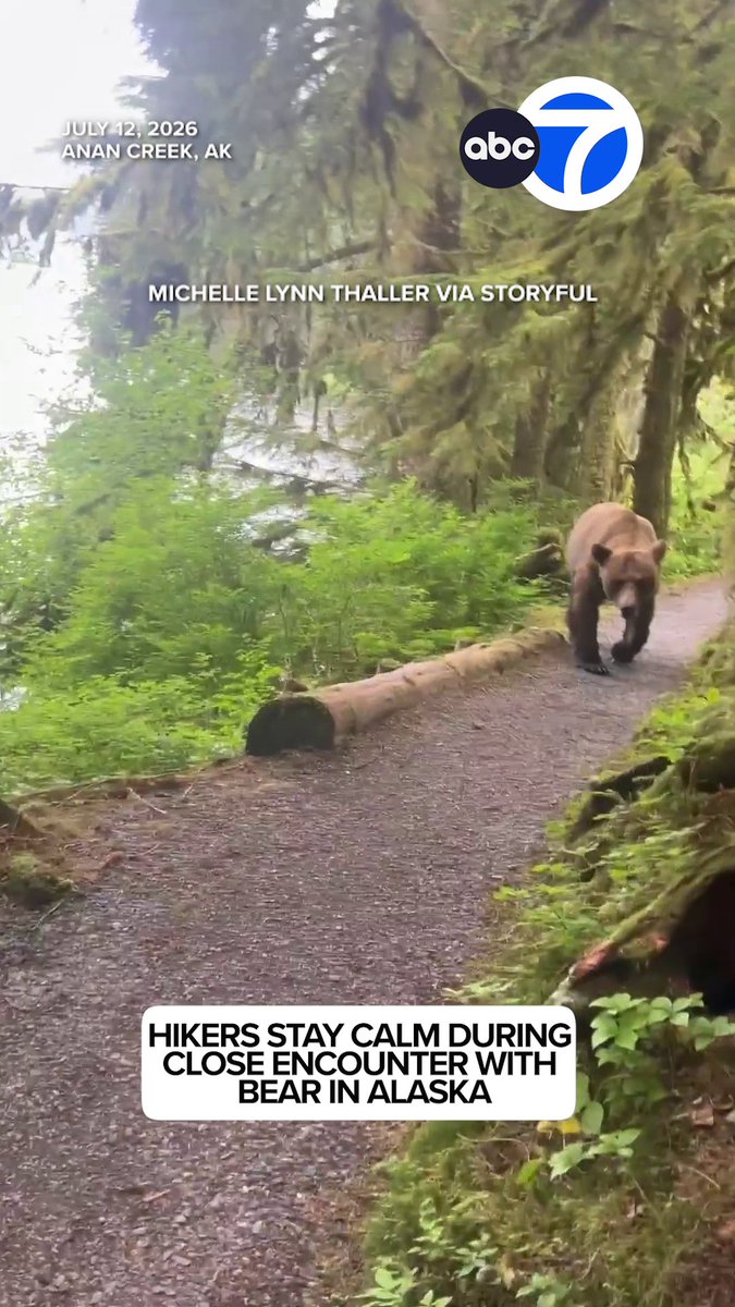 WILD! A group of hikers had a close encounter with a grizzly bear on a steep trail in Alaska.