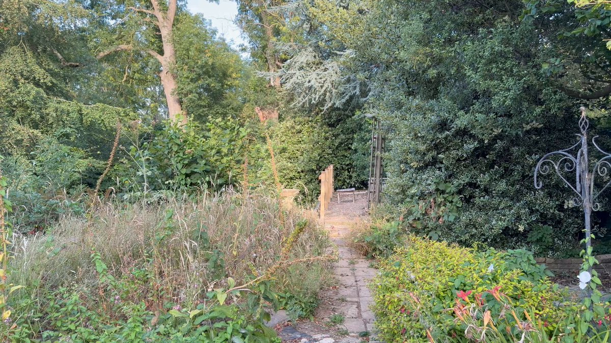 Good morning you beautiful people. Speaking of beautiful, here’s my walk from the holiday cottage here in Somerset this morning into the garden to sit on the bench and take in the view. Because it is a most pleasant view.