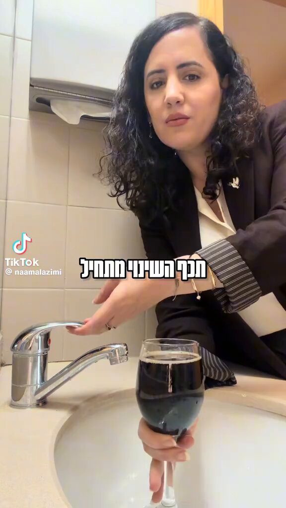 מנהיגה, אנושית, אמפתית. אני חולה על נעמה לזימי, אשה עם לב מזהב טהור. חלום שלי שיום אחד היא תהיה ראשת הממשלה שלנו. היא נולדה להנהיג