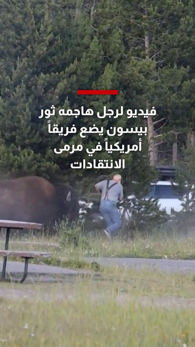 فيديو لرجل مسن هاجمه ثور بيسون يضع فريقاً أمريكياً في مرمى الانتقادات