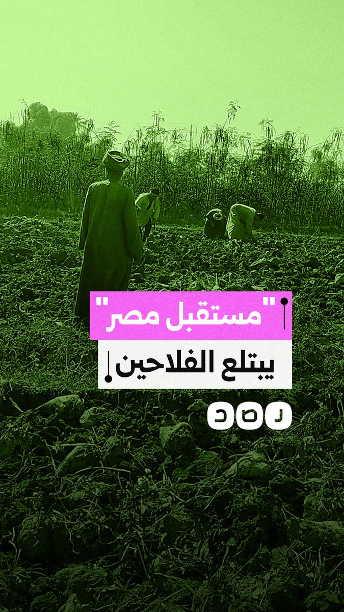 الحكومة تغدر بالفلاح.. إلغاء تعاقدات البنجر لصالح "مستقبل مصر" يهدد آلاف العائلات