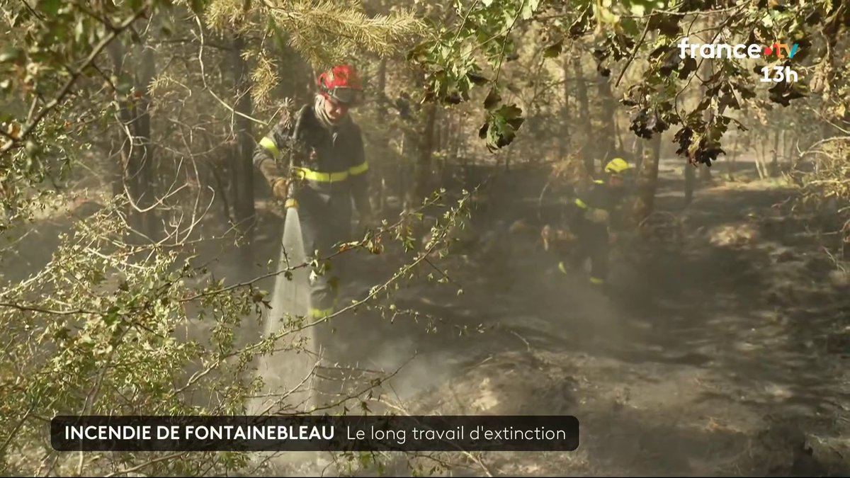 A Fontainebleau, le travail des pompiers est loin d’être terminé, car le feu qui couve, parfois en profondeur, peut reprendre à tout moment. #JT13h