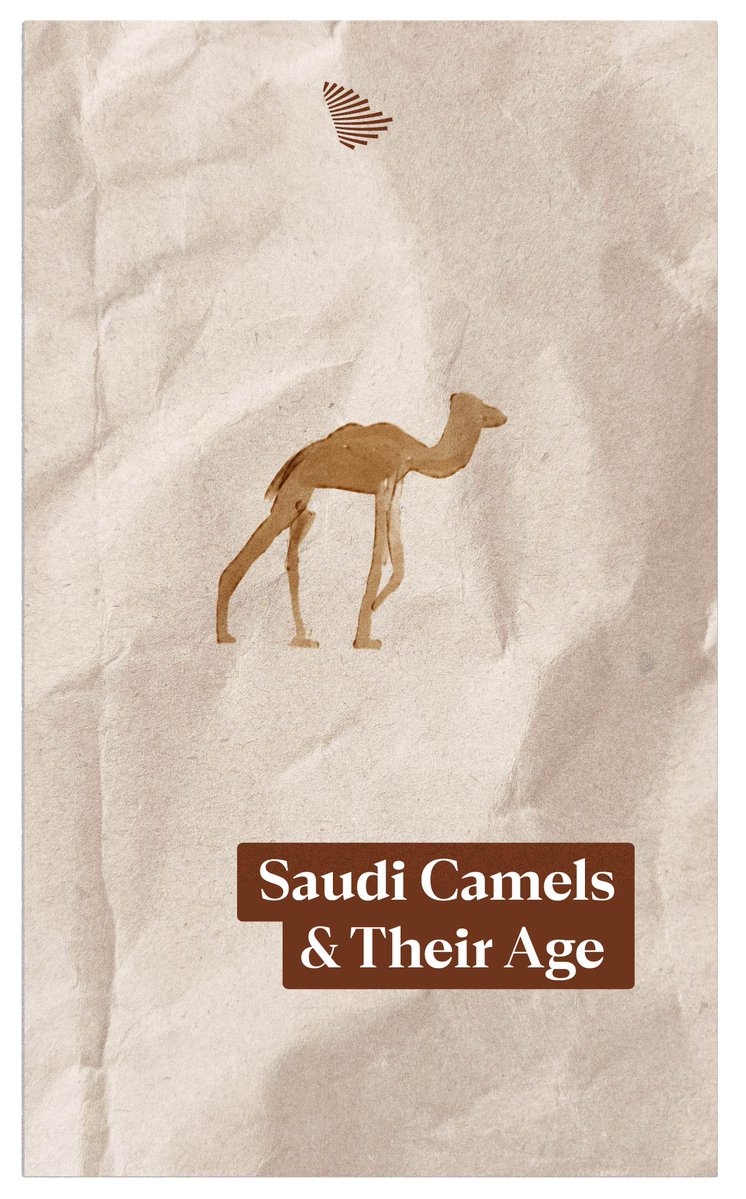 From birth to wisdom, 15 names honor the life stages of Saudi Arabia's majestic camels. وزارة البيئة والمياه والزراعة
