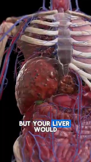 This is what would happen if you consumed 4 eggs every day. How often do you consume them? Dr. Eric Berg, DC, not MD; information only