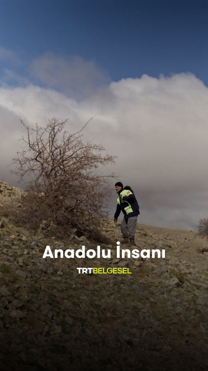 Üç yıl önce Konya'ya yerleşen Kazım, fidan dikmek yerine bölgenin doğal bitki örtüsünü güçlendirerek bozkıra yeniden hayat vermeye çalışıyor. "Anadolu İnsanı", 21.15'te TRT Belgesel'de.