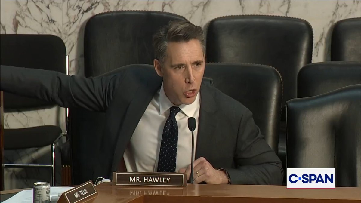 "I think you're judgement is astoundingly terrible!" Sen. Josh Hawley (Josh Hawley) grills former Pardon Attorney Elizabeth G. Oyer over clemency recommendations.
