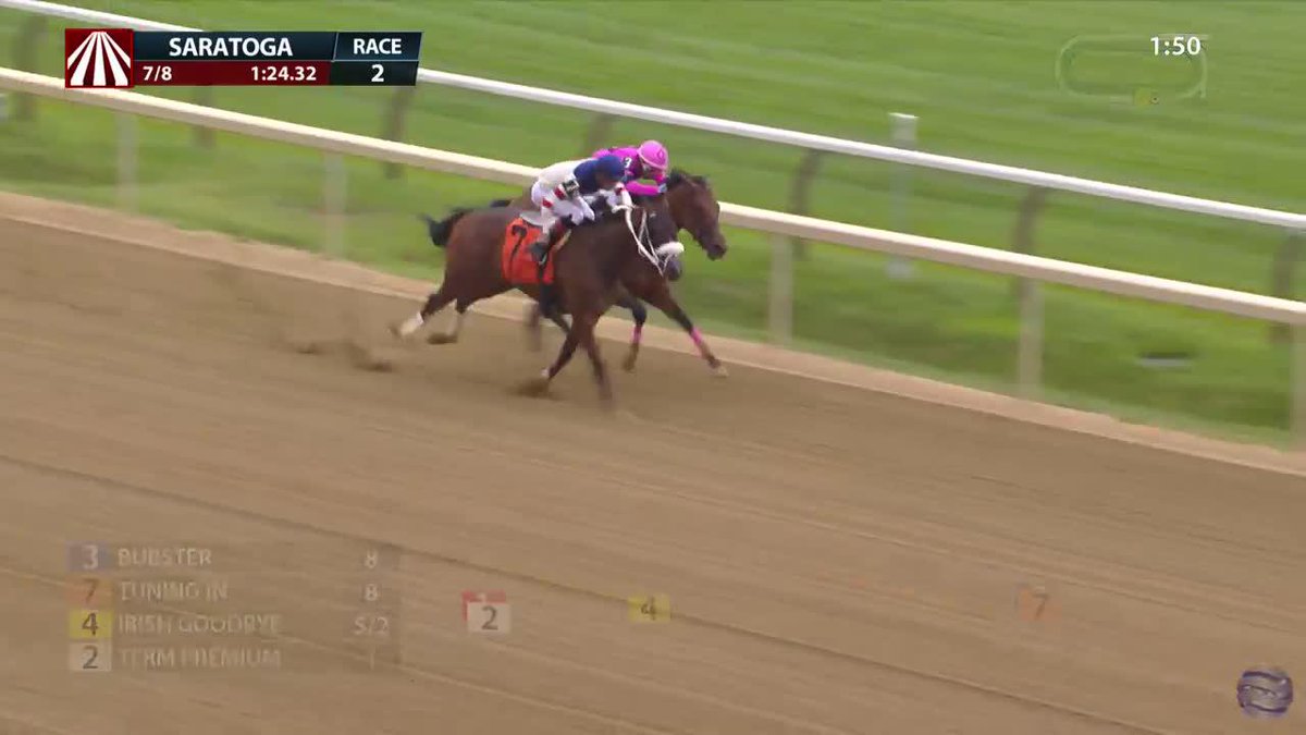The Bond Racing trainee 𝗧𝗨𝗥𝗡𝗜𝗡𝗚 𝗜𝗡 first time starter by Airdrie Stud Stallion Upstart prevails in R4 at Saratoga under jockey Edgardo Zayas for owner Joanne Nielsen.
