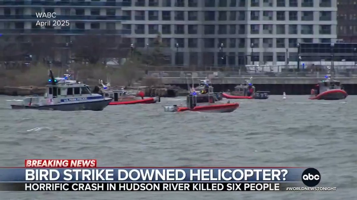 More than a year after a helicopter crashed into the Hudson River, killing six on board including three children, investigators say a bird strike likely brought the chopper down. The NTSB found bird remains lodged in the wreckage. Perry Russom reports.