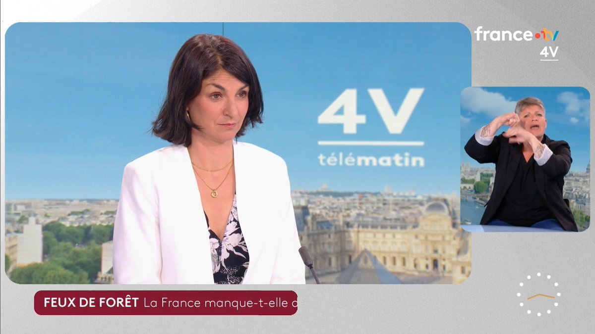🗣️ "Jean-Luc Mélenchon a parfaitement raison, Monsieur Attal a sabré 53 millions d'euros." 🔴 Aurélie Trouvé, députée LFI de Seine-Saint-Denis, dénonce l'annulation de la commande de deux Canadair par Gabriel Attal lorsqu'il était Premier ministre. #Les4V
