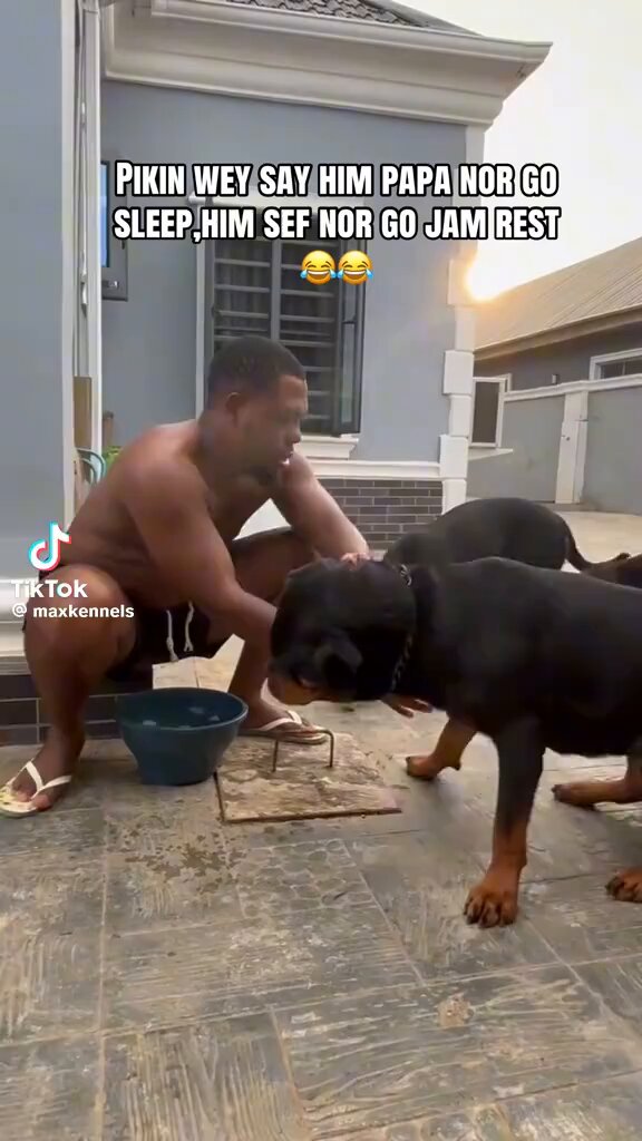 I miss breeding and it’s wahala