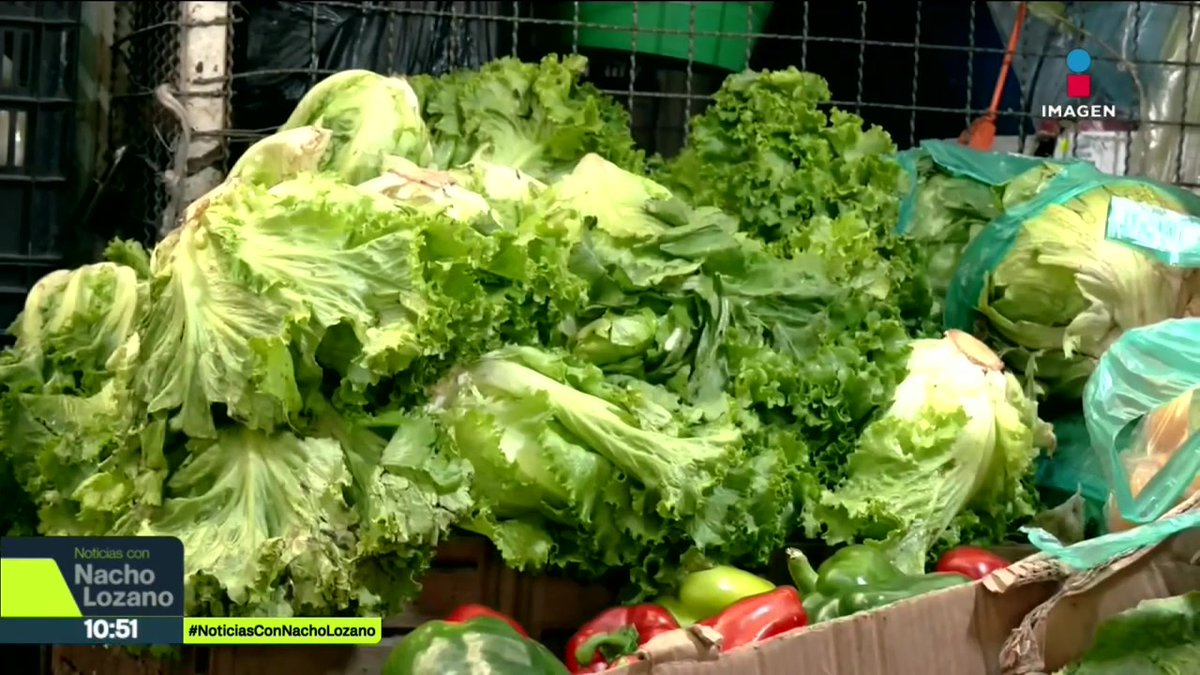 Flautas, tacos, esquites y agua de fruta, podrían contener el parásito #ciclosporiasis, que está causando la “diarrea explosiva” en #EUA. ¿Debemos preocuparnos? #ImagenNoticias de la Noche platicó con el infectólogo Eduardo Becerril sobre esta bacteria: