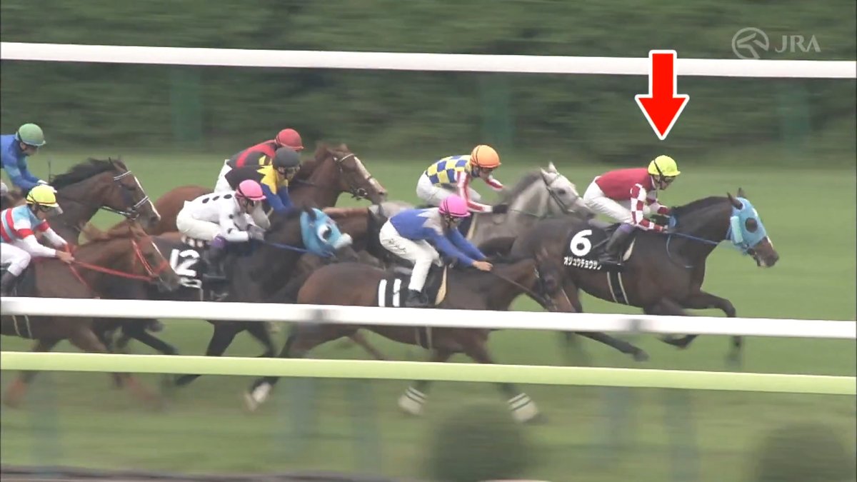 【障害王者が平地競走初V🌸】 2018年の開成山特別は #オジュウチョウサン が約4年8カ月ぶりとなる平地競走で快勝🎉 ジャンプグレードを導入した1999年以降では初となるJ・GI優勝馬による平地競走勝利でした!