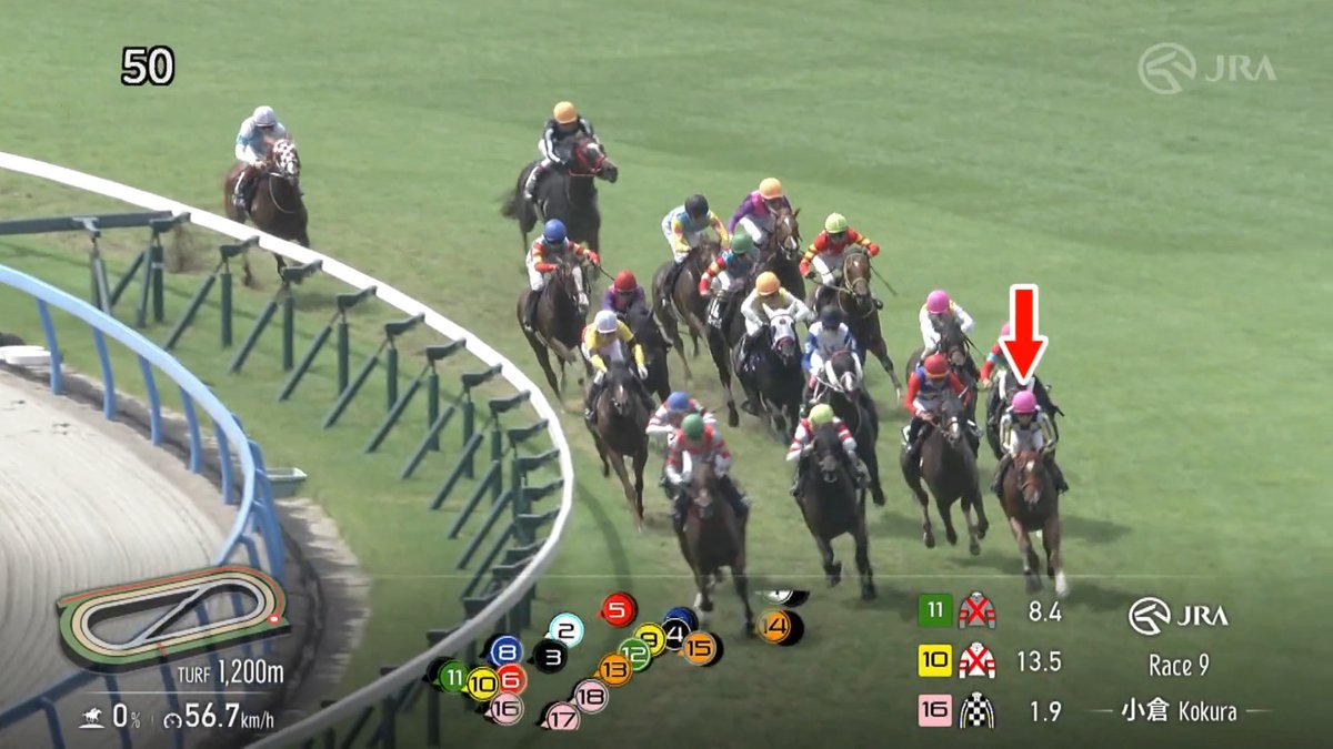 【#カエリールークス が新馬戦から連勝！】 2着馬タカヨシの猛追をしのいで、九州産馬限定のオープン競走を制しました✨ ［小倉9R ひまわり賞 芝1,200m]