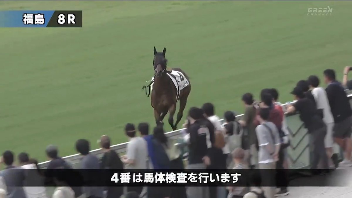【💦これだけ走れば…】 ／ #クリノゴッホ 🐎 観客の目の前を激走！ ＼ 疲労の影響で レースは除外となった。 📺ABEMA de グリーンチャンネル