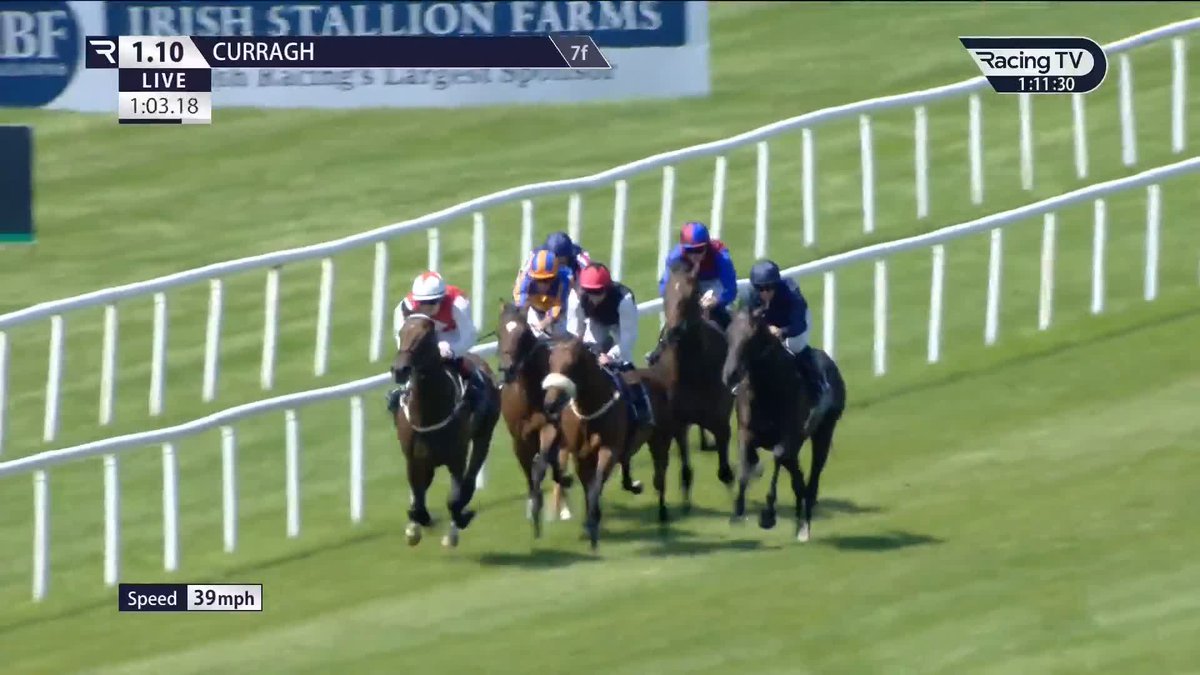 👀 The beautifully-bred Porto Vecchio (Frankel) is a brother to Classic winner Homeless Songs and more classy performers and makes the perfect start for Dermot Weld, Chris Hayes and Moyglare Stud The Curragh Racecourse