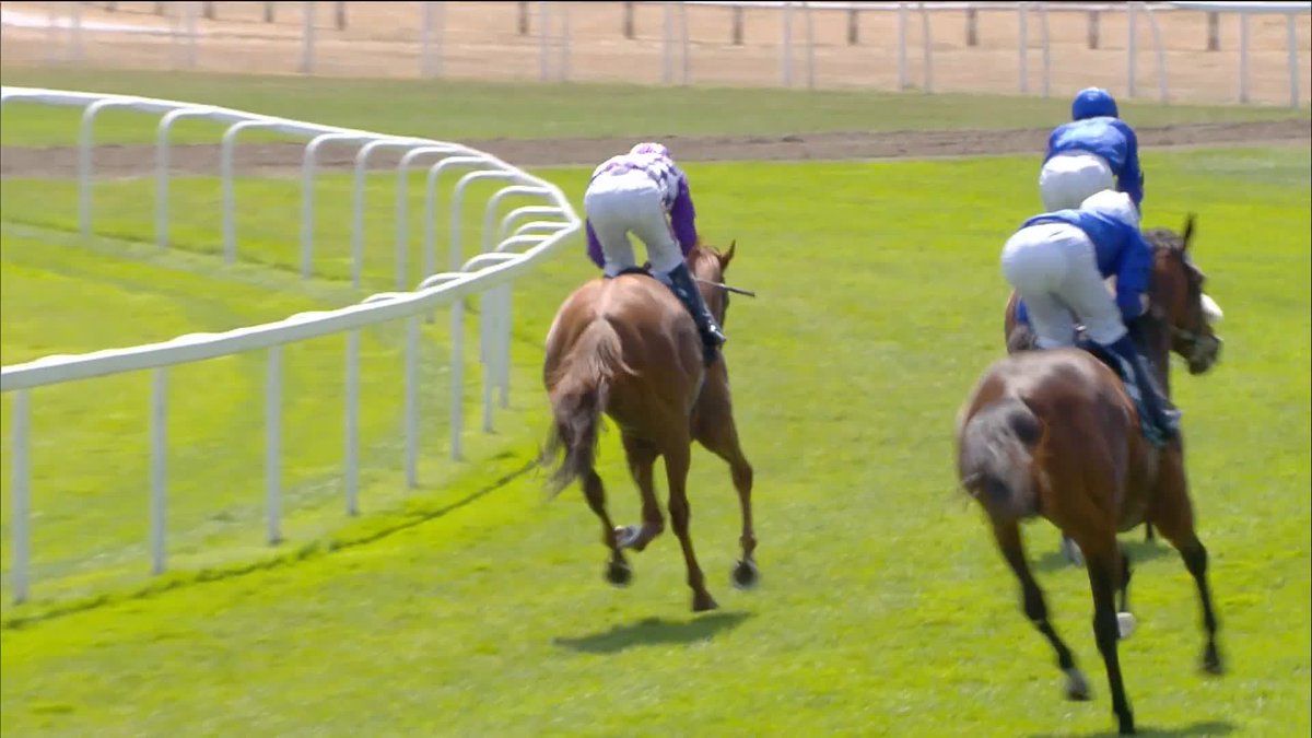 All class! 🙌 Persica takes the BetVictor Steventon Stakes 🥇 Sean Levey | Richard Hannon